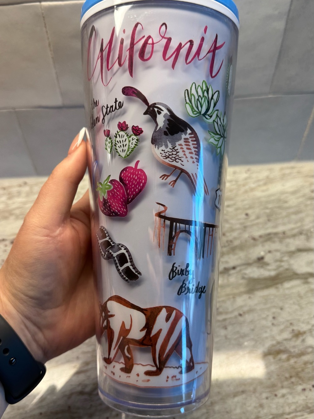 California Illustrated Travel Tumbler - Pink, Brown, Green, Blue